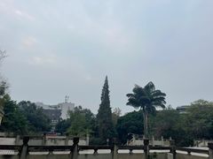 -代四孃牛华豆腐脑美味小食(总店)