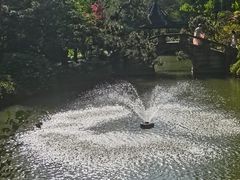 -上海醉白池公园