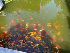 -西安华清御汤酒店