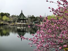 -无锡蠡湖国家湿地公园-蠡园