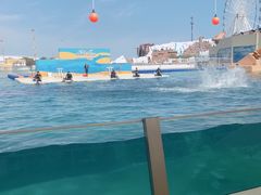 -秦皇岛乐岛海洋王国