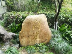 -十八棵（老龙井）御茶园(老龙井店)