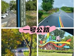 -报恩禅寺