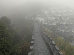 -黄贤森林公园