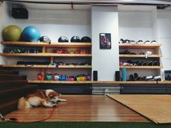 -YCHL Studios健身工作室(市二宫店)