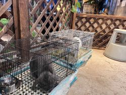 -酷嗒动物文化乐园(cutezoo西溪乐天城店)