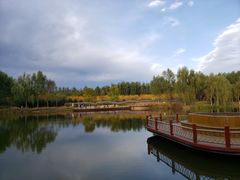 -东郊湿地公园