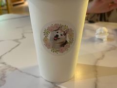 -Husky Go! 哈士奇体验馆·宠物咖啡厅狗咖