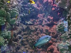 -海合安青岛极地海洋公园