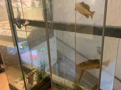 -南通博物苑-崇川人民公园