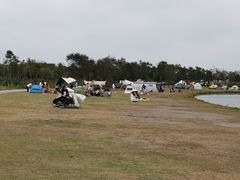 -春花秋色城市公园