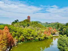 -深圳市中科院仙湖植物园