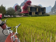 -明仕田园