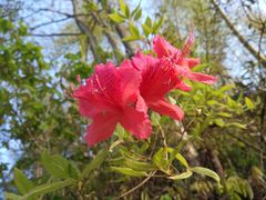 -天堂寨大别山人家2号(天堂寨店)