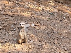 -石家庄市动物园