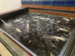 水产区-雪野鱼头大王邢府公老店(雪野湖店)