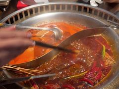 -辣伍鲜毛肚老火锅(元一店)