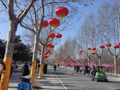 -石家庄市动物园