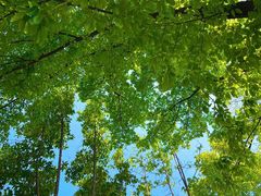 -华南师范大学(广州大学城校区)