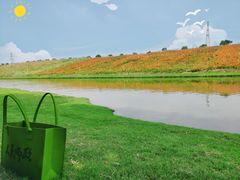 -迪茵湖田家舍生态农场