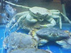 阳光码头海鲜豆捞(桐乡店)-阳光码头海鲜火锅(世纪大道店)