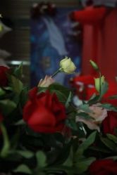 -Sunny喜铺婚礼策划(东部店)