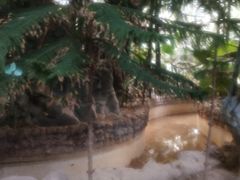 -龙达温泉生态城