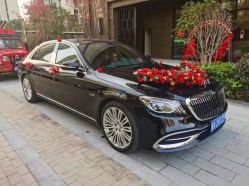 -蚂蚁婚车