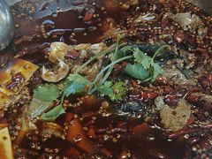 -味之绝热血美蛙鱼火锅(中坝店)