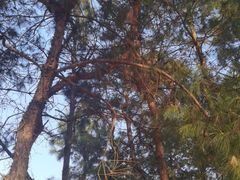 -南京市无想山景区