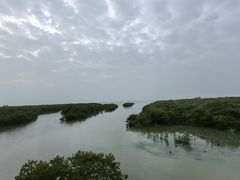-北海金海湾红树林生态旅游区