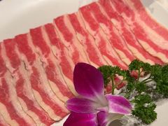 -禄婶鸡煲·打边炉