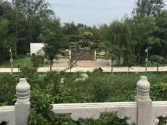 -武清南湖绿博园