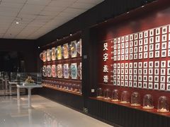 -青岛贝壳博物馆