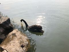 -上海怡沁园度假酒店