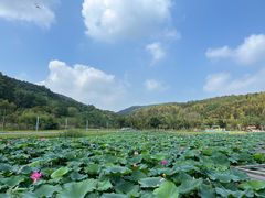 -南北湖风景区