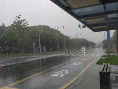 -昆山城市生态森林公园