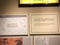 -中国茶叶博物馆(双峰馆区)
