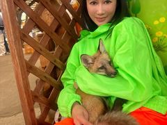 -宫城藏王狐狸村