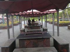 -春花秋色城市公园