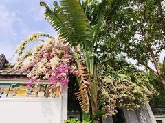 -深圳国际园林花卉博览园