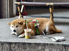 -HANA COFFEE(长寿路店)