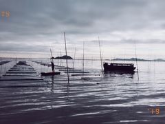 -北岐滩涂