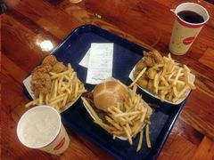 -奥兰多迪士尼动物王国乐园