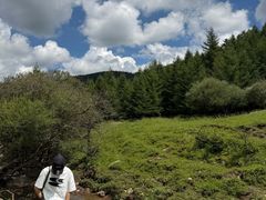 -芦芽山旅游度假区