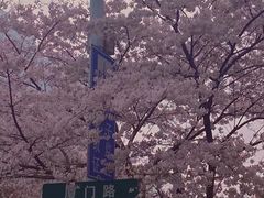 -青岛海滨风景区