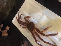 -蟹之国·精品蟹料理(极地店)