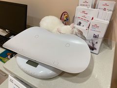 -申普宠物医院·心脏介入·心血管微创(总院)