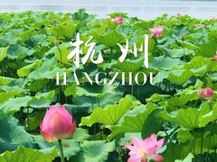 -湖畔居茶楼(湖滨店)
