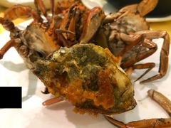 -莲花公园煎蟹(总店)